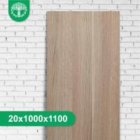 Мебельный щит из дуба цельноламельный 20x1000x1100 мм