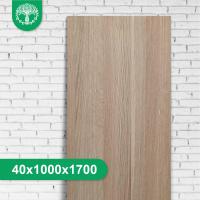 Мебельный щит из дуба цельноламельный 40x1000x1700 мм