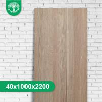 Мебельный щит из дуба цельноламельный 40x1000x2200 мм