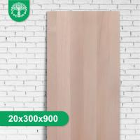 Мебельный щит из бука цельноламельный 20x300x900 мм