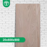Мебельный щит из ясеня цельноламельный 20x600x900 мм